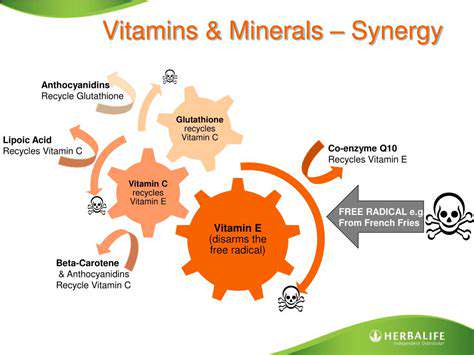 VitaminsandMinerals:ASynergisticPartnership