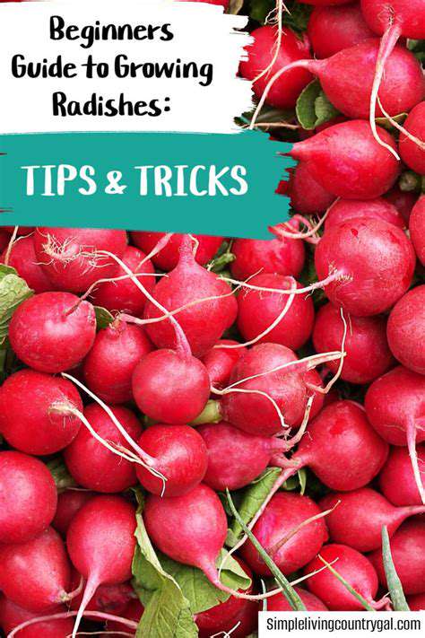 ExtendingRadishLife:TipsandTricks