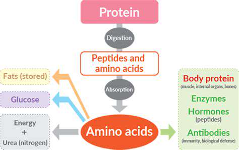 Understanding Macronutrients: Fueling Your Body