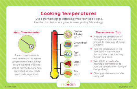 CookingTemperatures:AchievingFoodSafetyThroughHeat