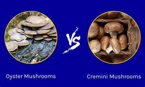 StoringButton,Cremini,andOysterMushrooms
