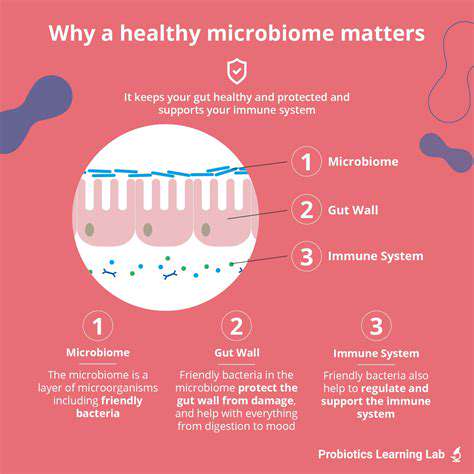 TheImportanceofaHealthyGutMicrobiome