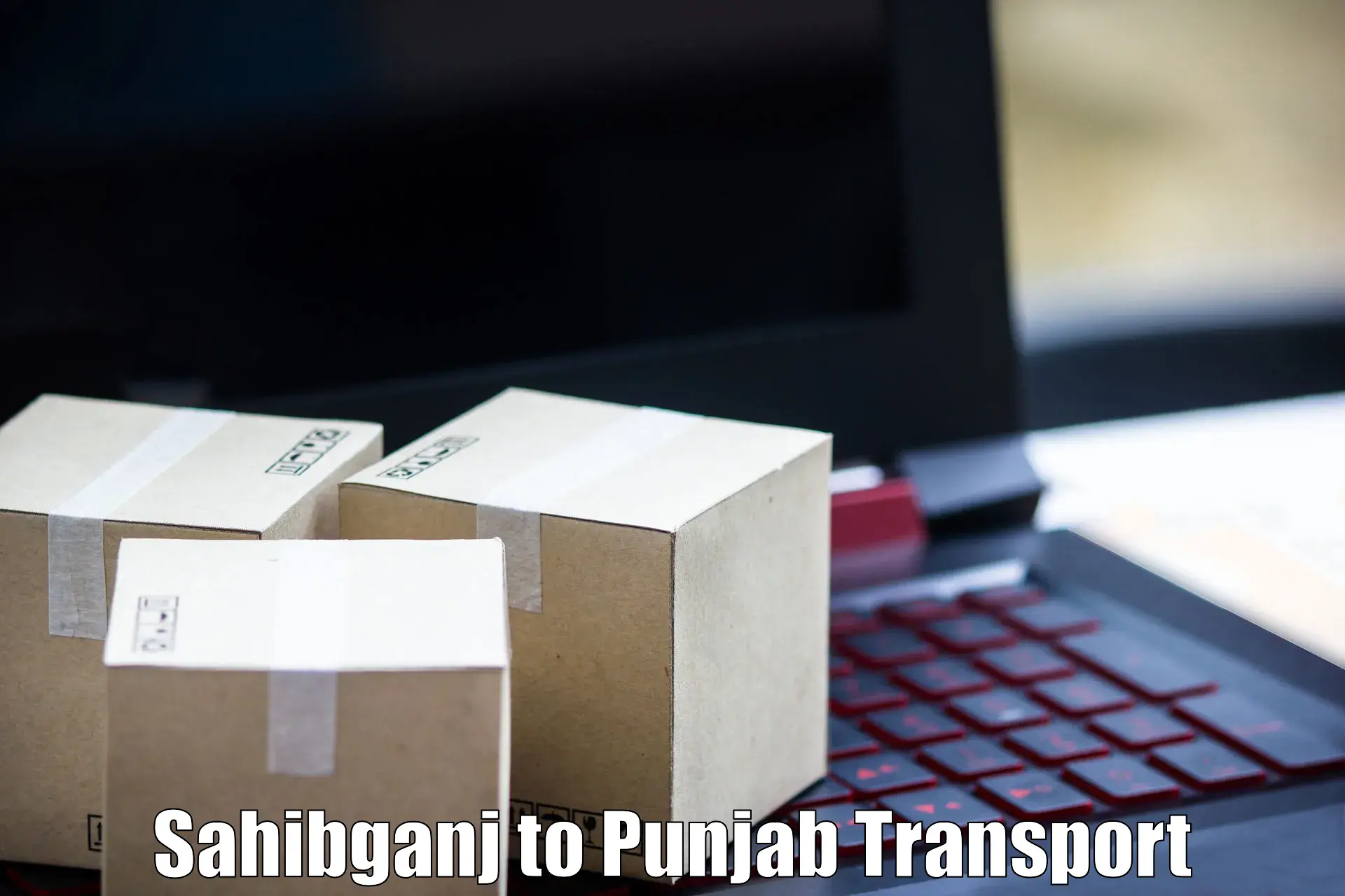 Pick up transport service Sahibganj to Raikot