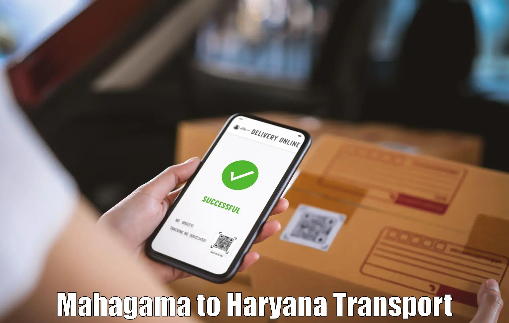 Door to door transport services Mahagama to Haryana