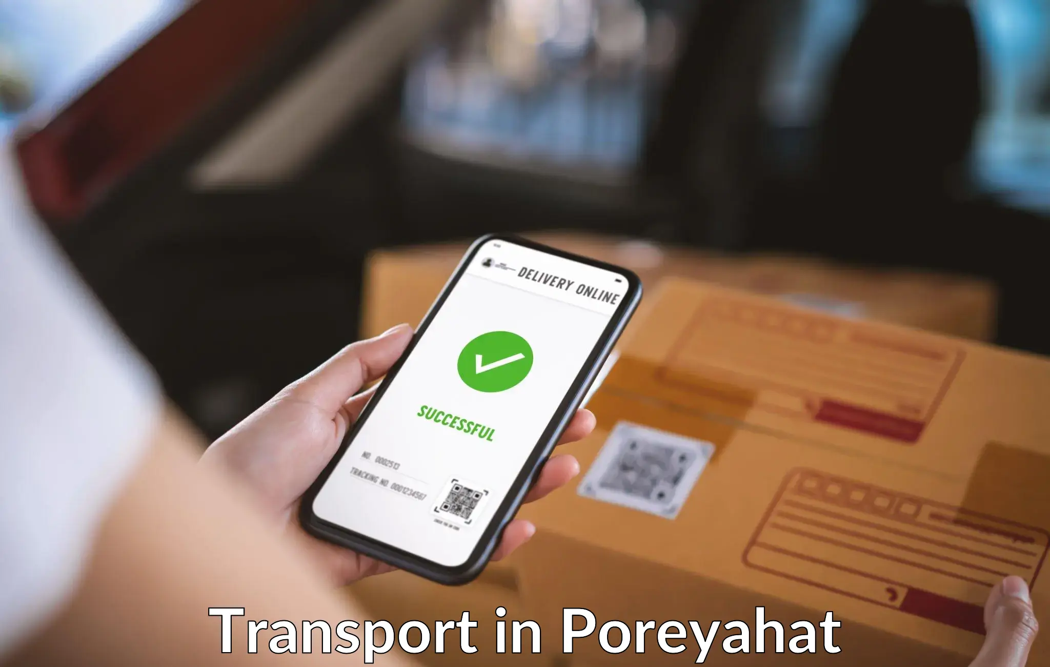 Air cargo transport services in Poreyahat