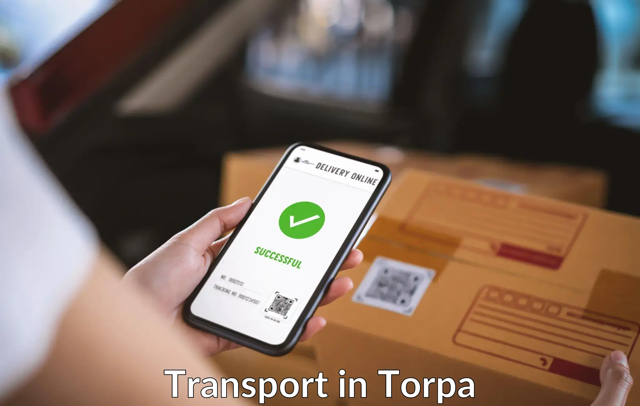 Online transport in Torpa