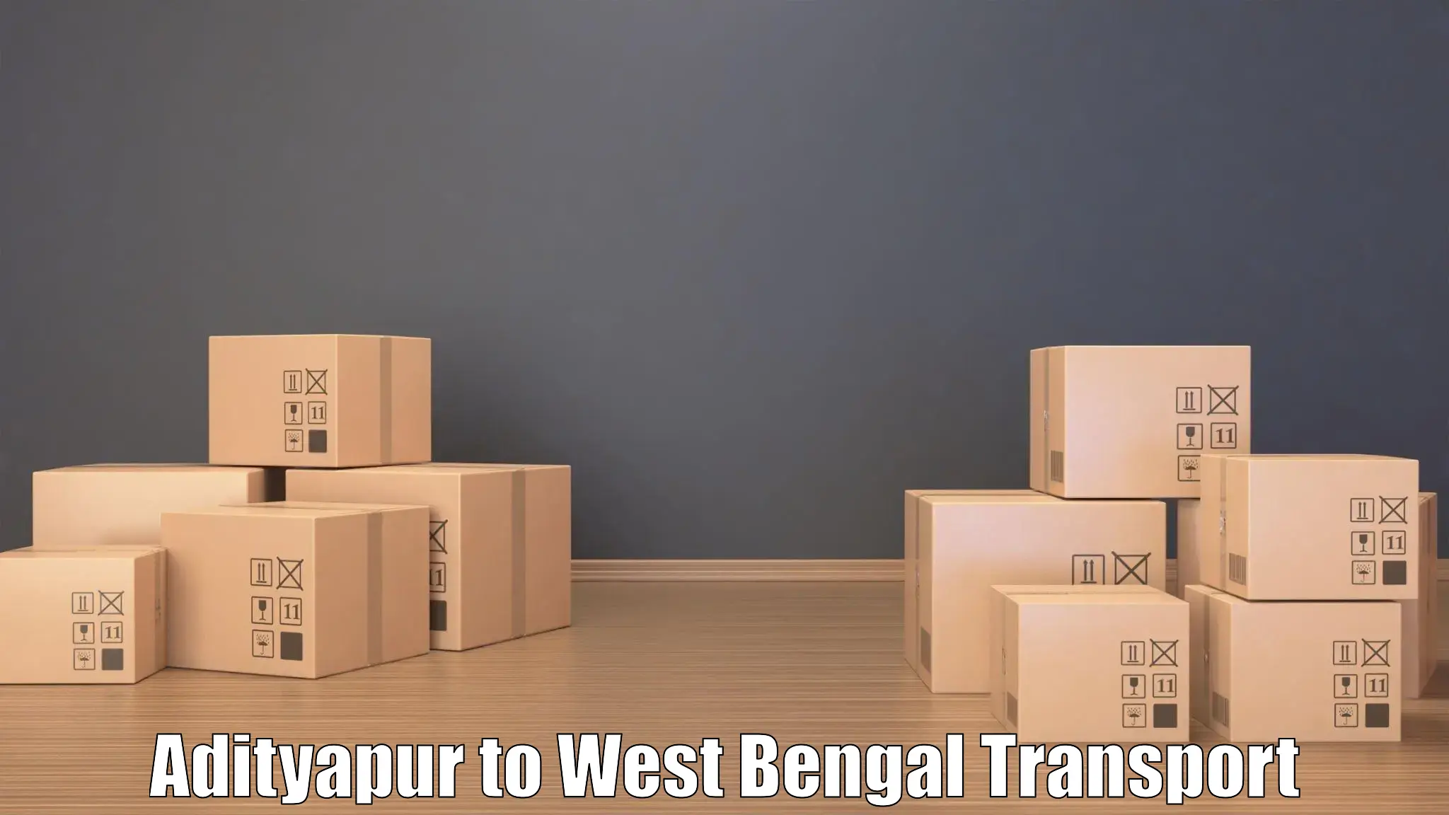 Container transport service Adityapur to Mejia