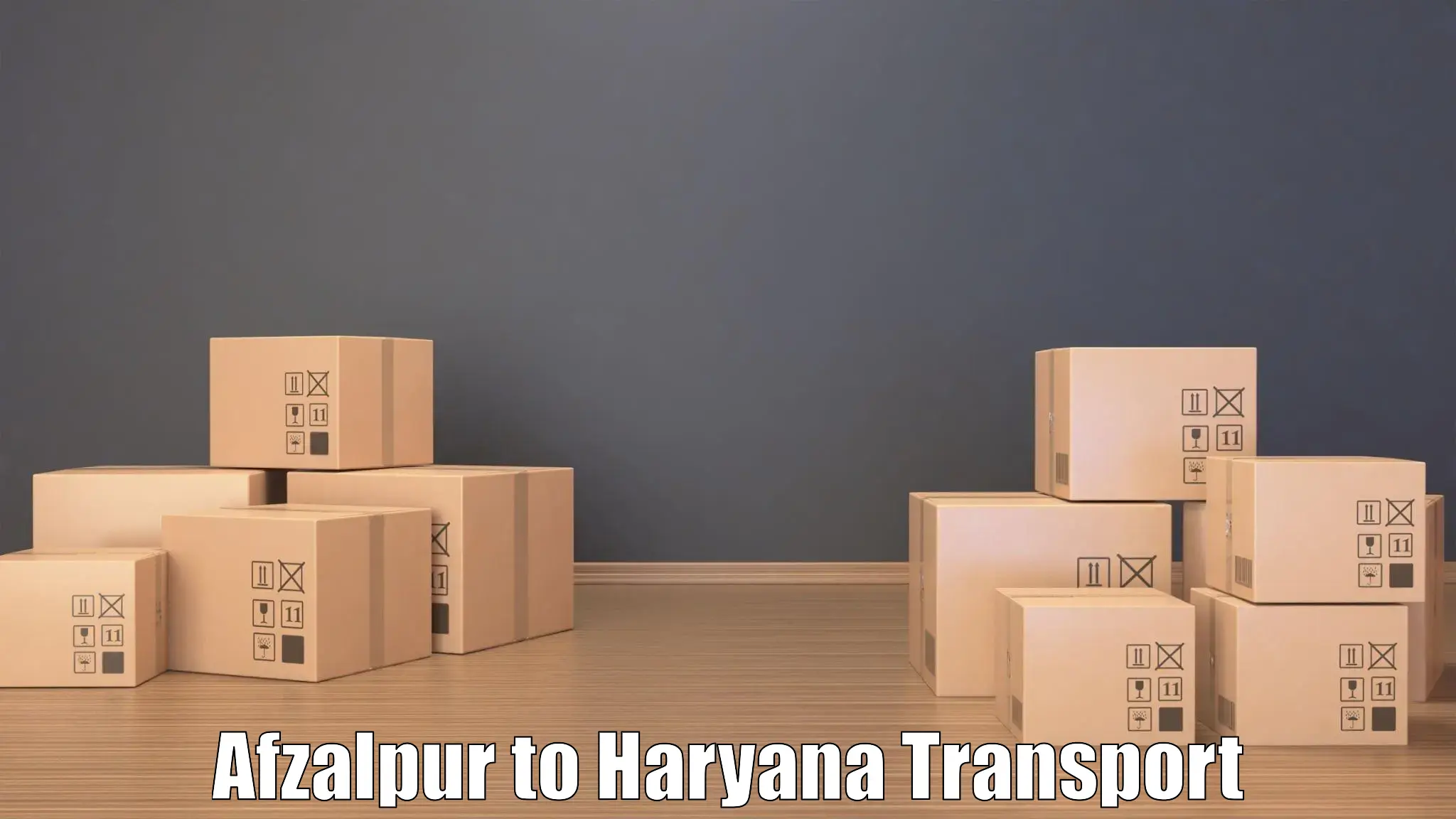 Container transport service Afzalpur to Gurugram