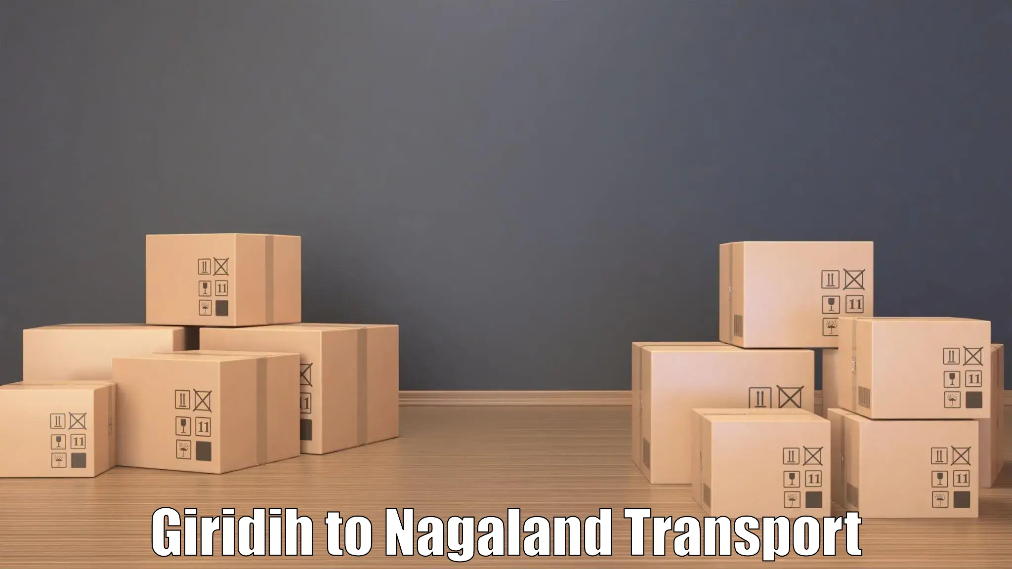 Logistics transportation services Giridih to Mon