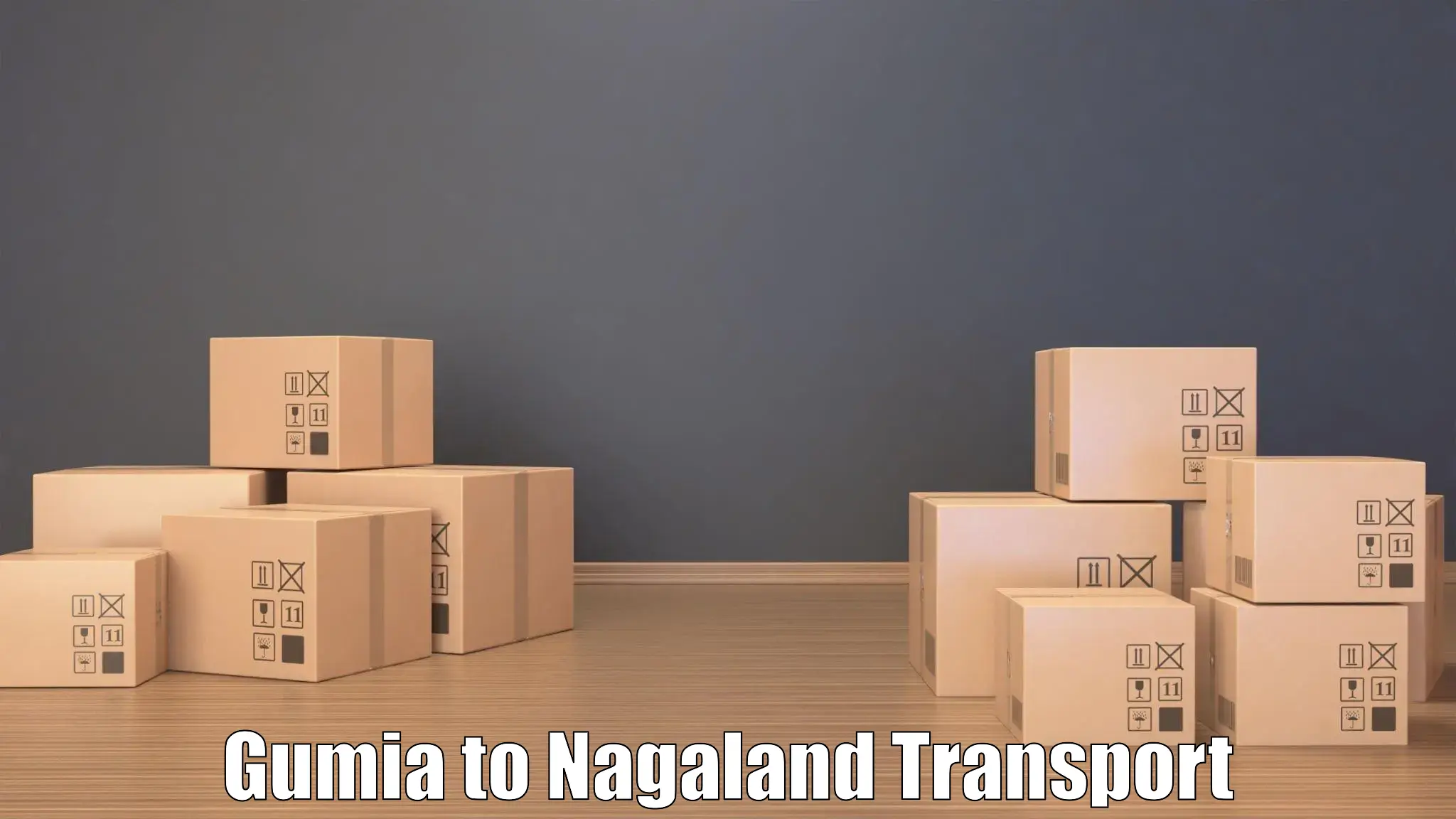 Transport in sharing in Gumia to Nagaland