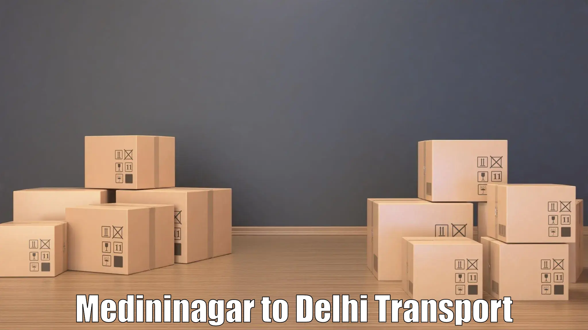 Daily parcel service transport in Medininagar to Delhi