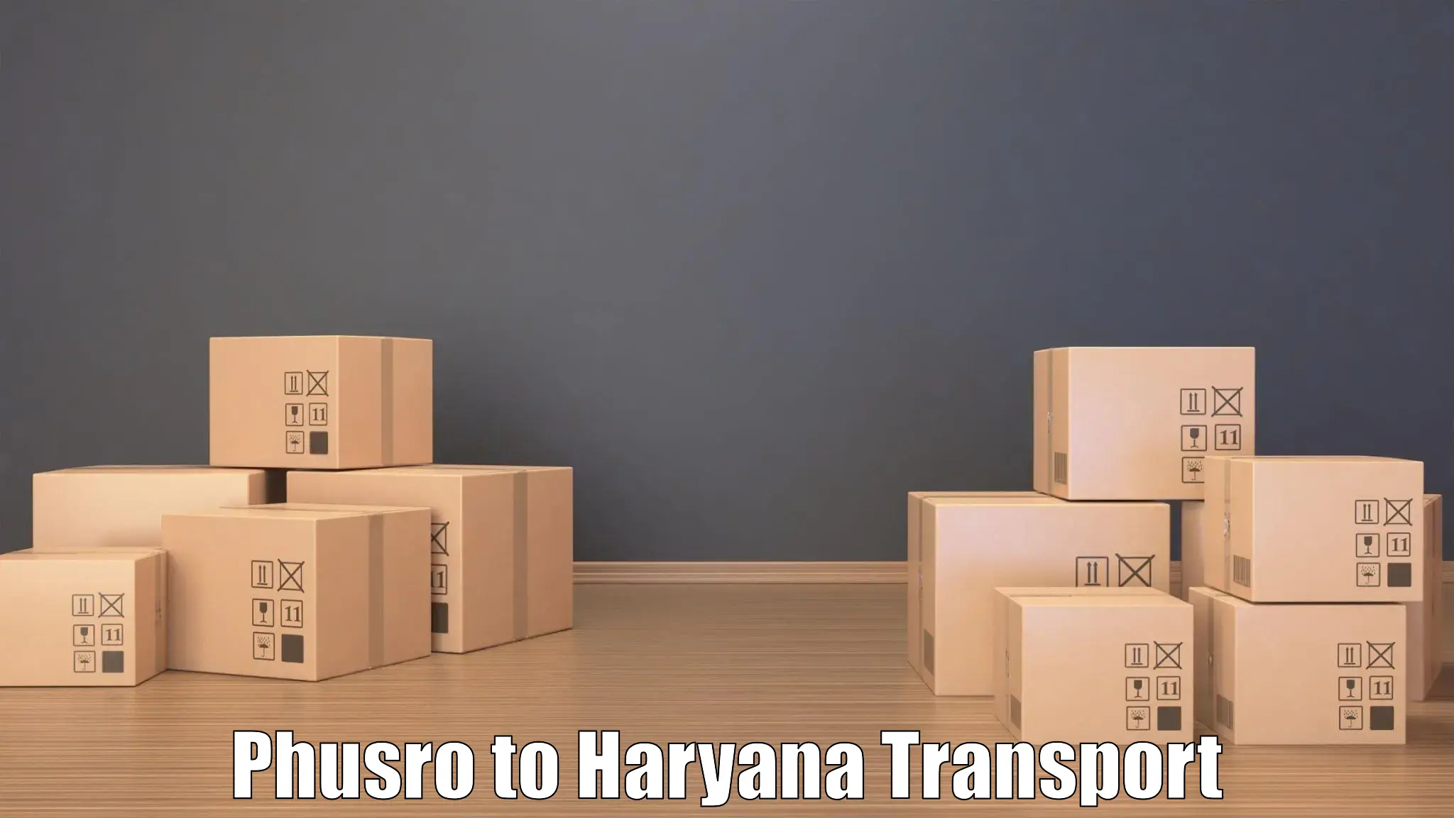 Cargo train transport services Phusro to Gurgaon