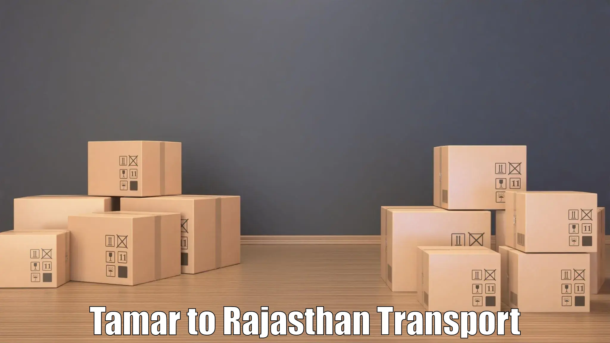 Online transport service Tamar to Pratapgarh Rajasthan