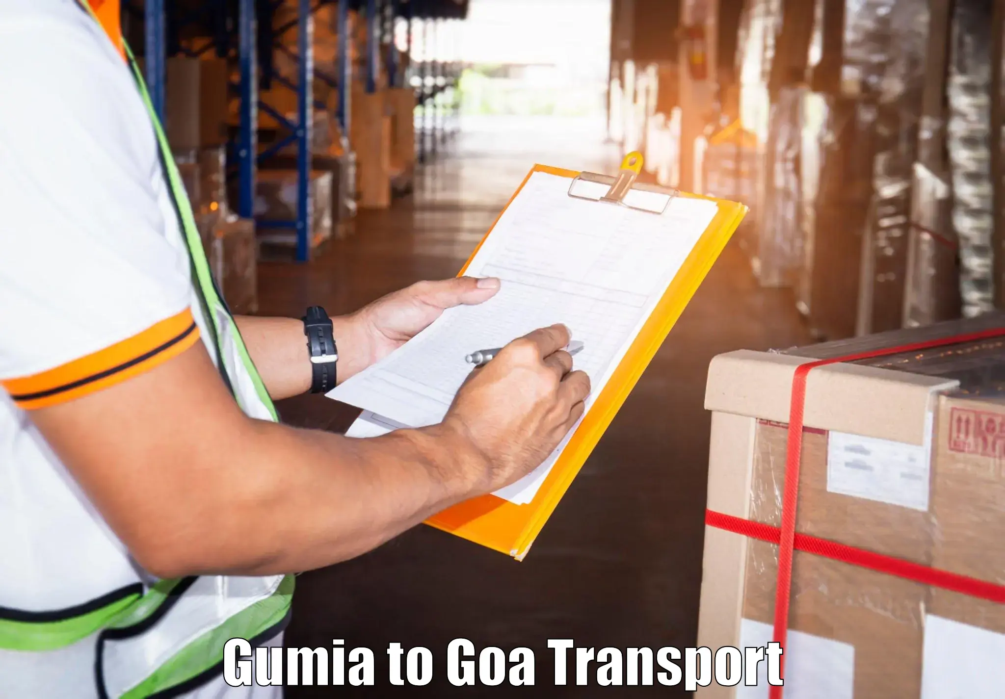 Transport in sharing Gumia to IIT Goa