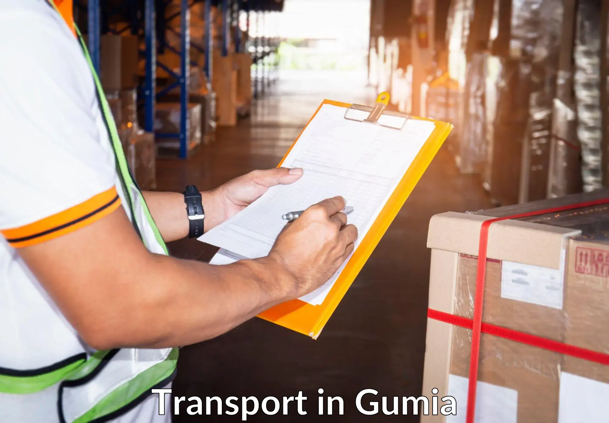 Daily parcel service transport in Gumia
