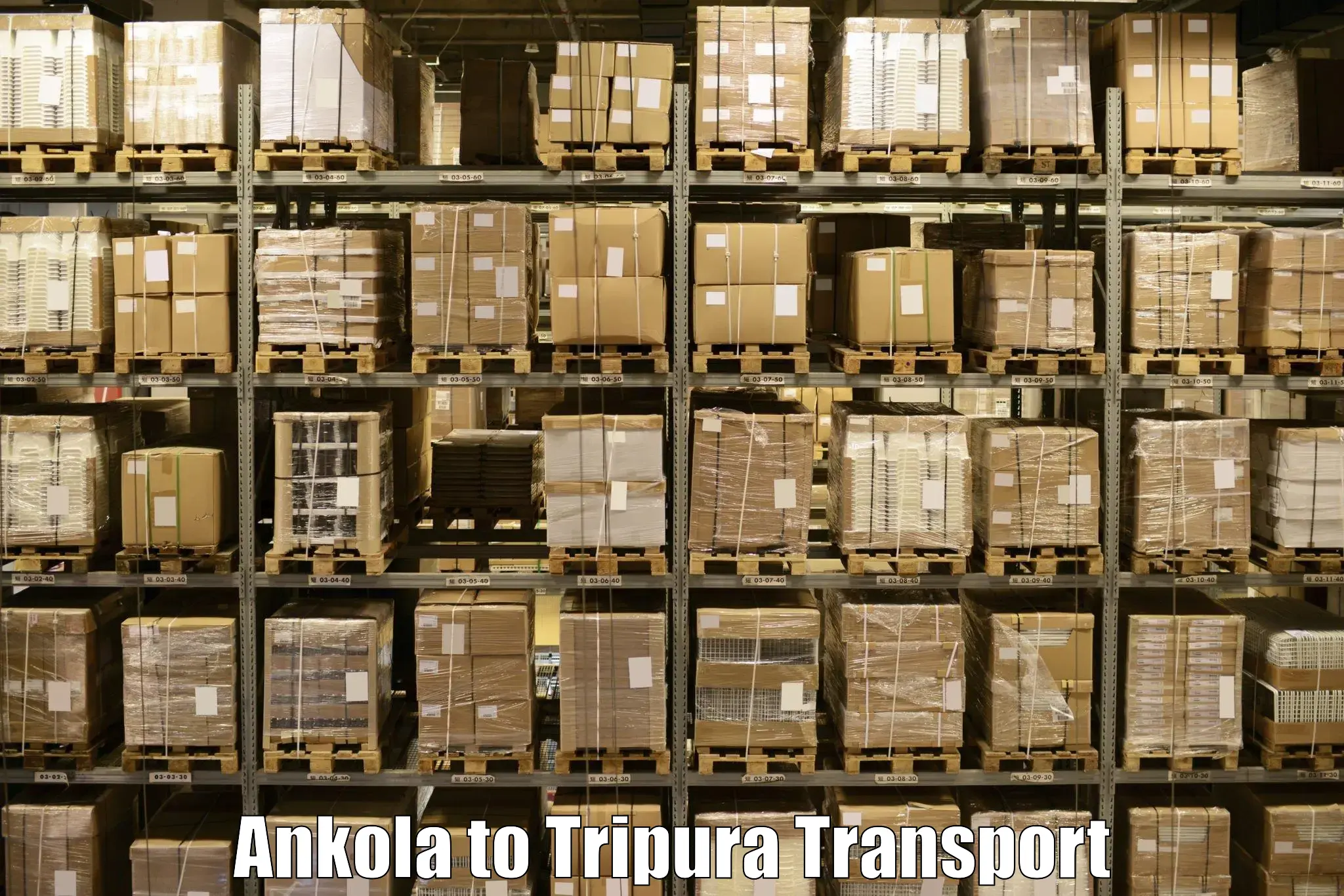 Interstate goods transport Ankola to Aambasa