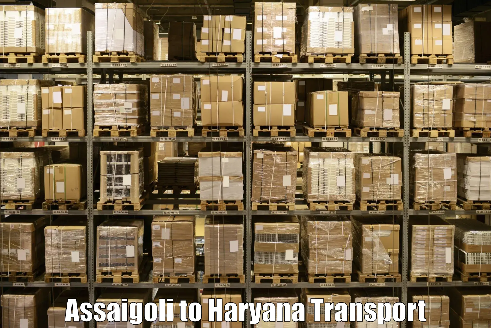 Commercial transport service Assaigoli to NCR Haryana