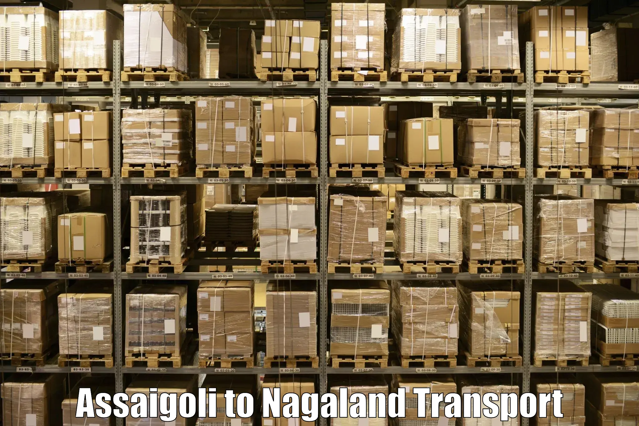 Air cargo transport services in Assaigoli to Kiphire