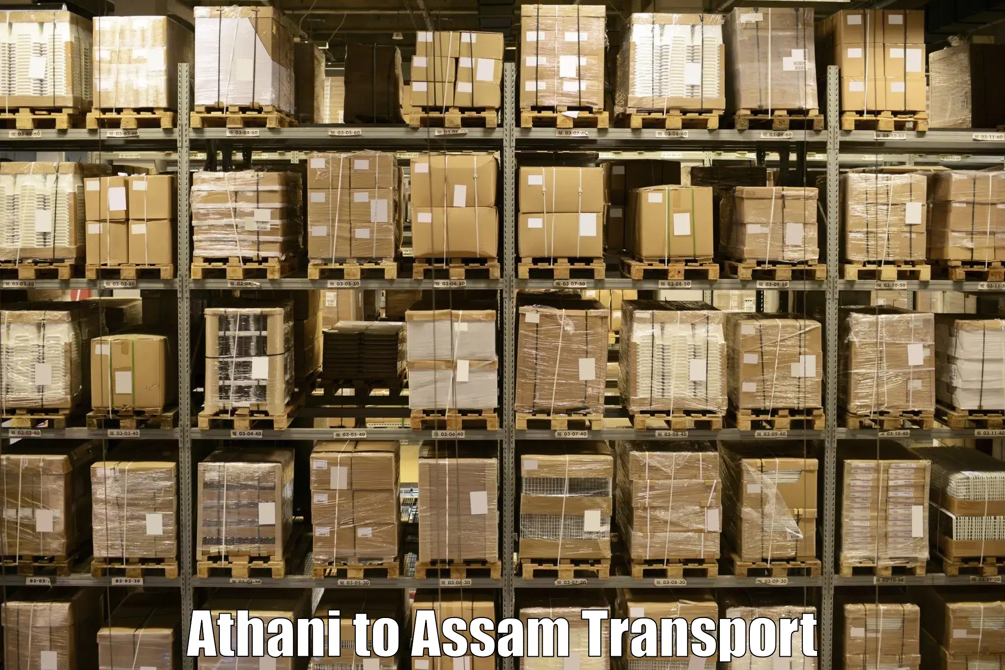 Domestic goods transportation services Athani to Bhergaon