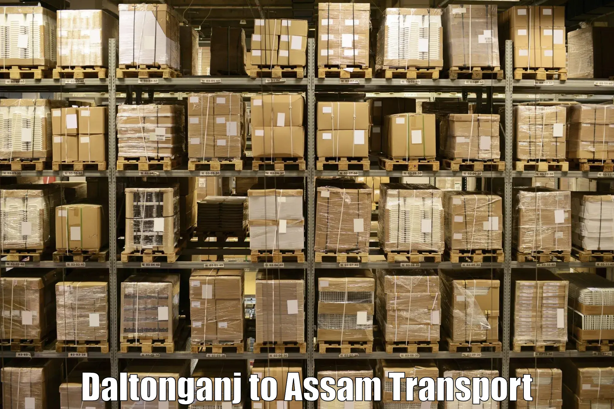 Domestic goods transportation services Daltonganj to Biswanath