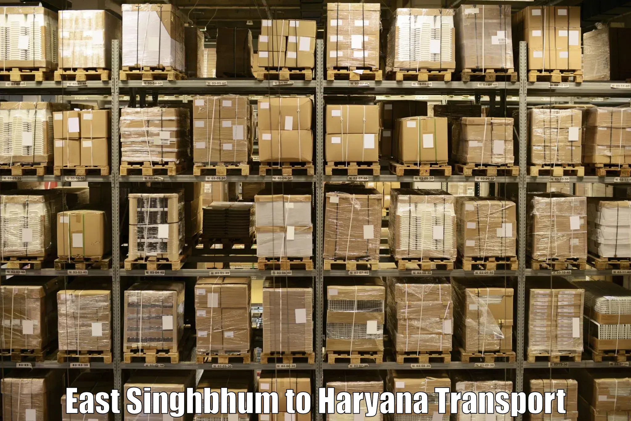 Parcel transport services East Singhbhum to Bhiwani