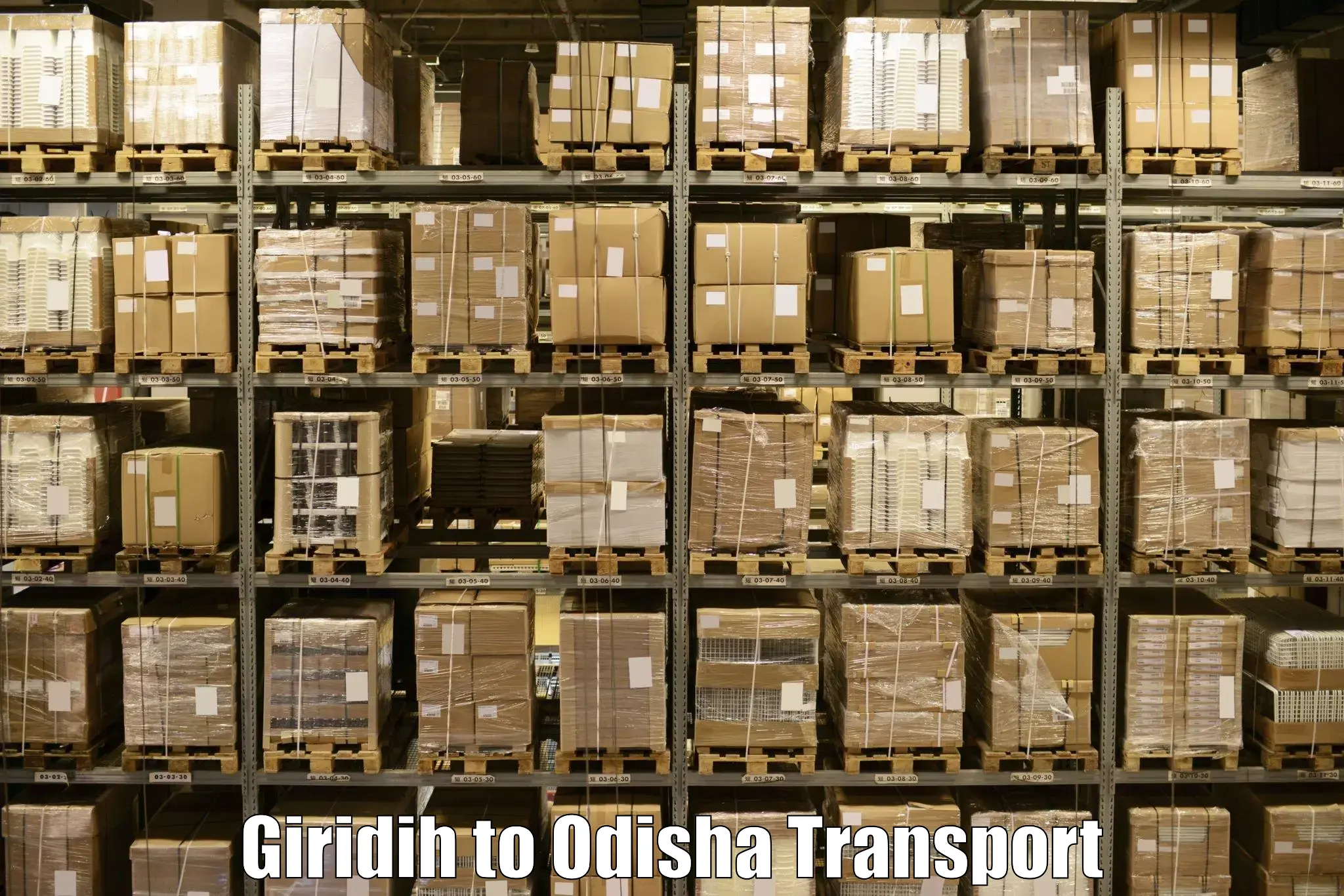 India truck logistics services Giridih to Balasore