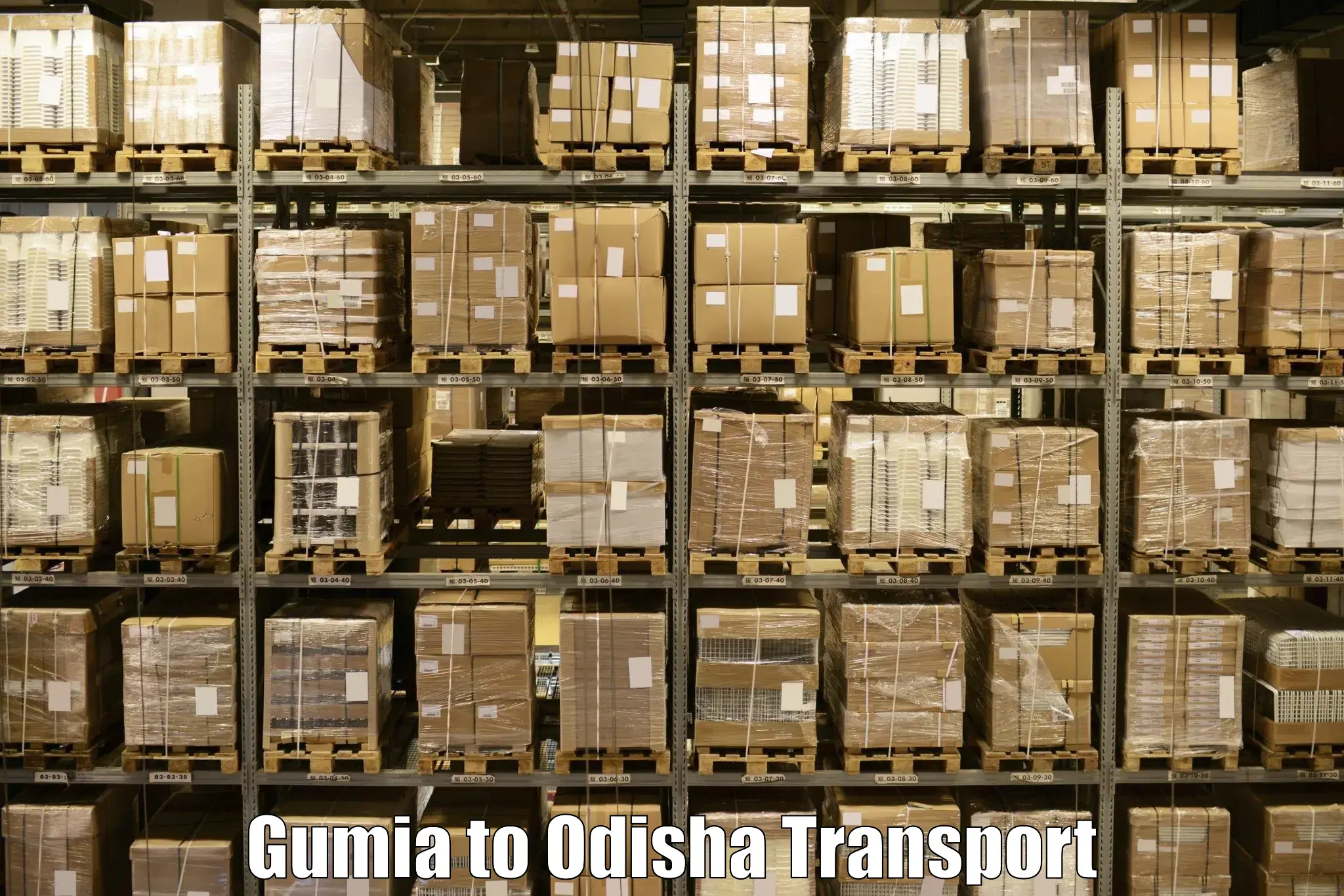 Two wheeler parcel service Gumia to Balikuda