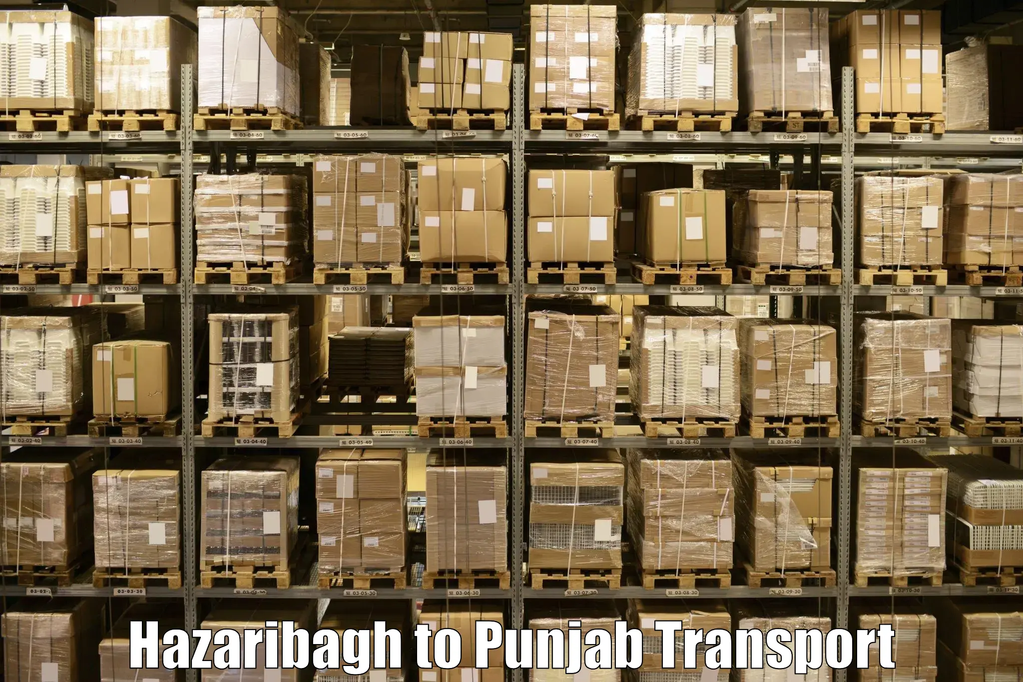 Domestic goods transportation services Hazaribagh to Jalandhar