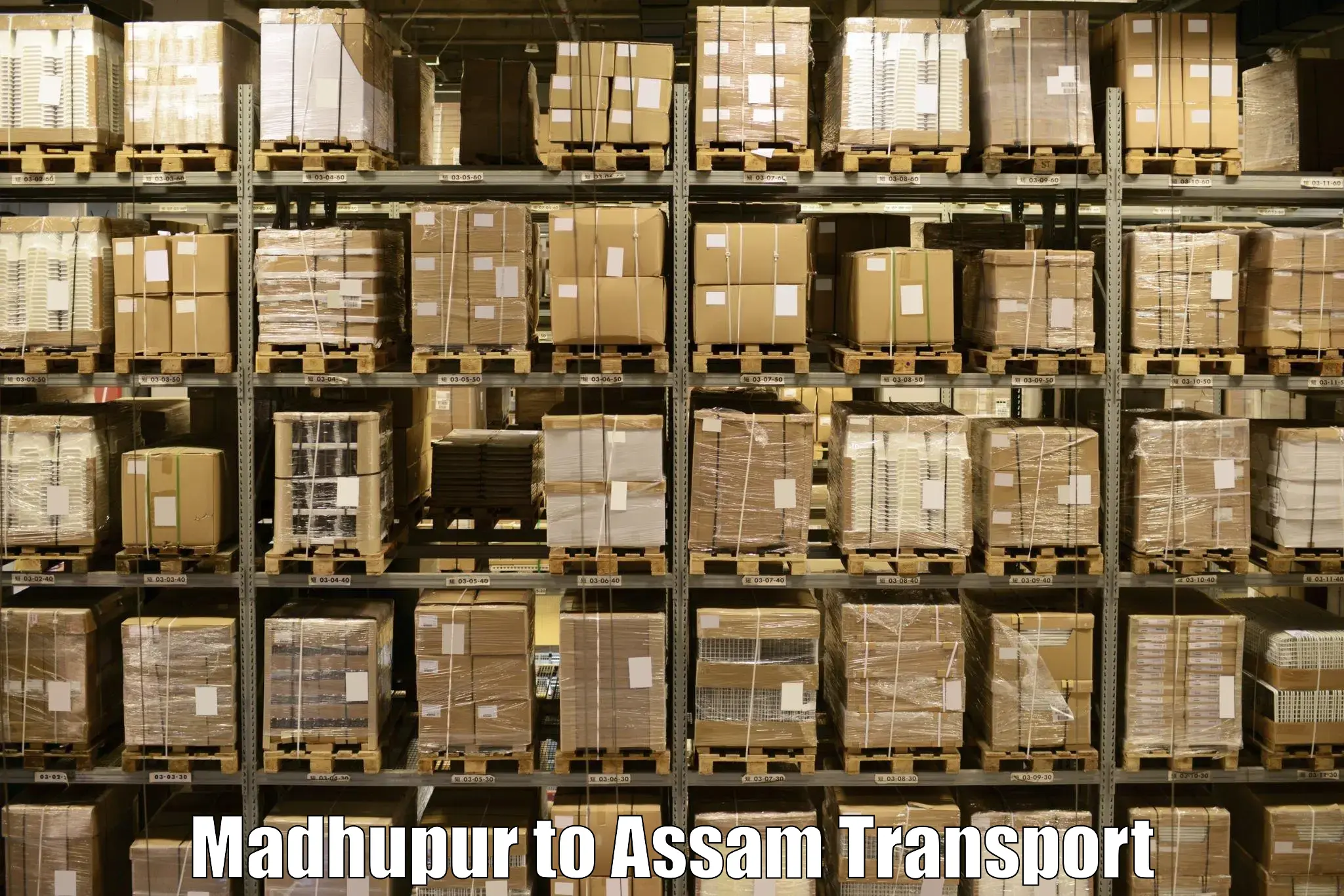 Air freight transport services Madhupur to Agomani