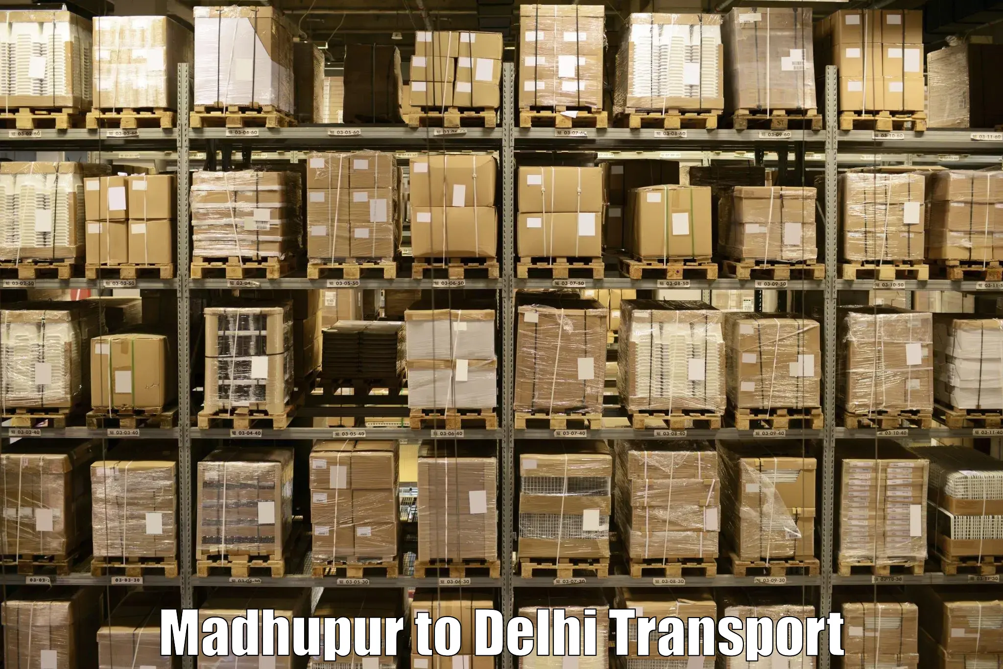 Vehicle courier services Madhupur to University of Delhi