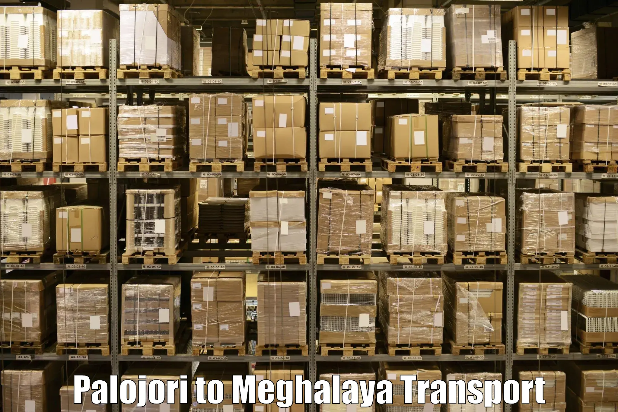 Cargo train transport services Palojori to Meghalaya