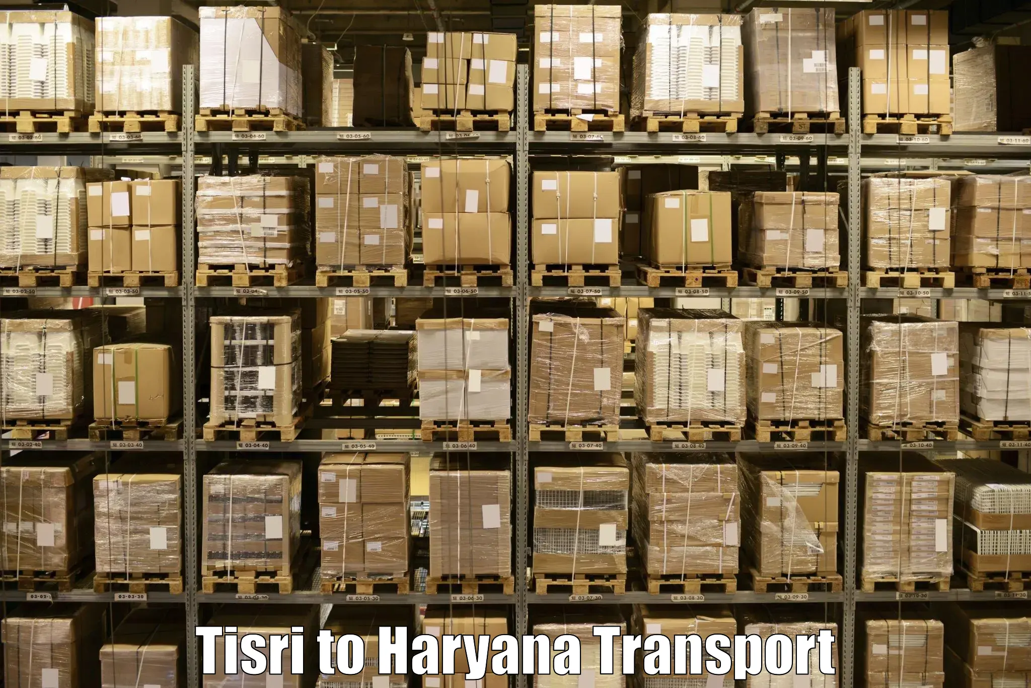 Vehicle courier services Tisri to Yamuna Nagar