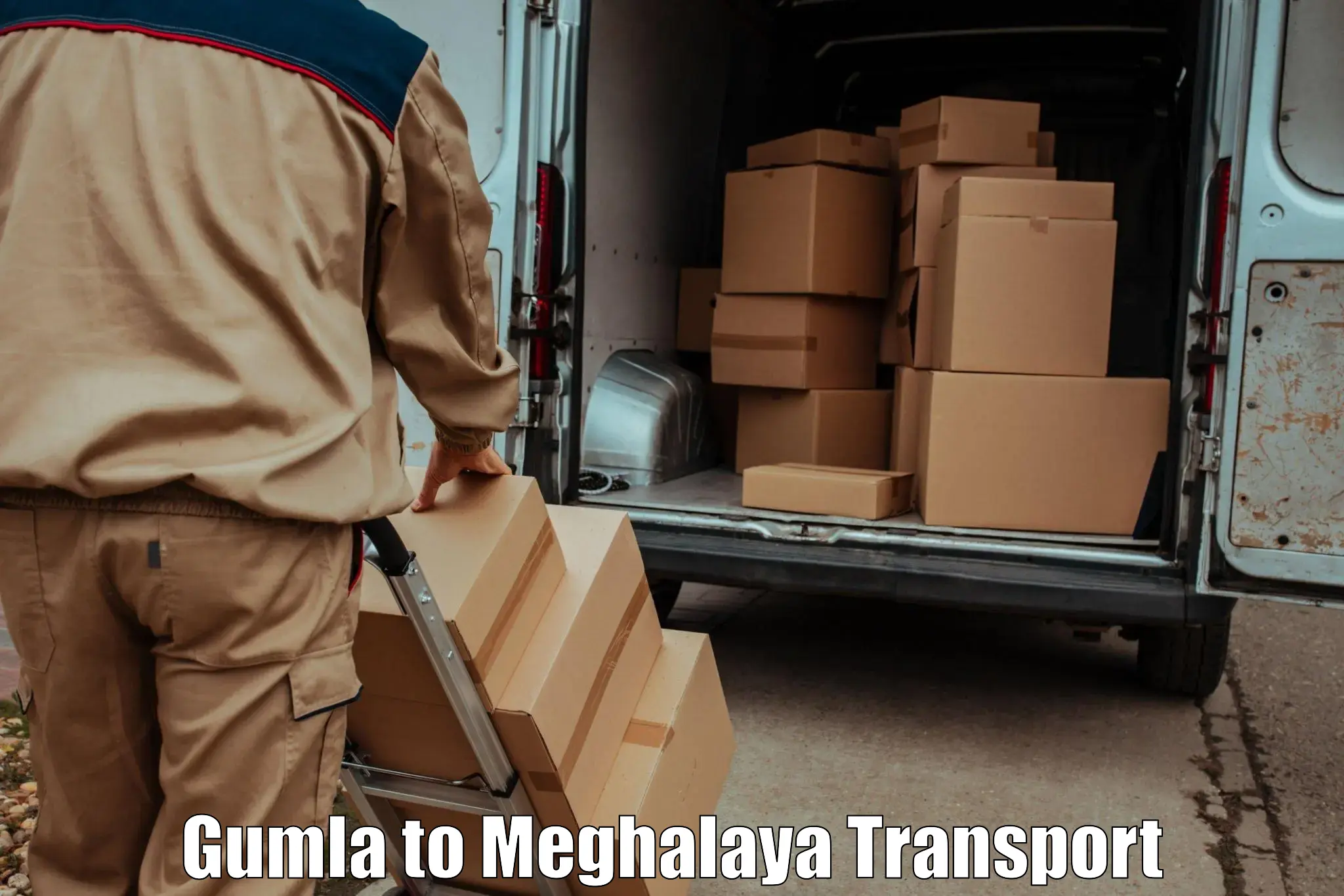 Domestic goods transportation services Gumla to Williamnagar