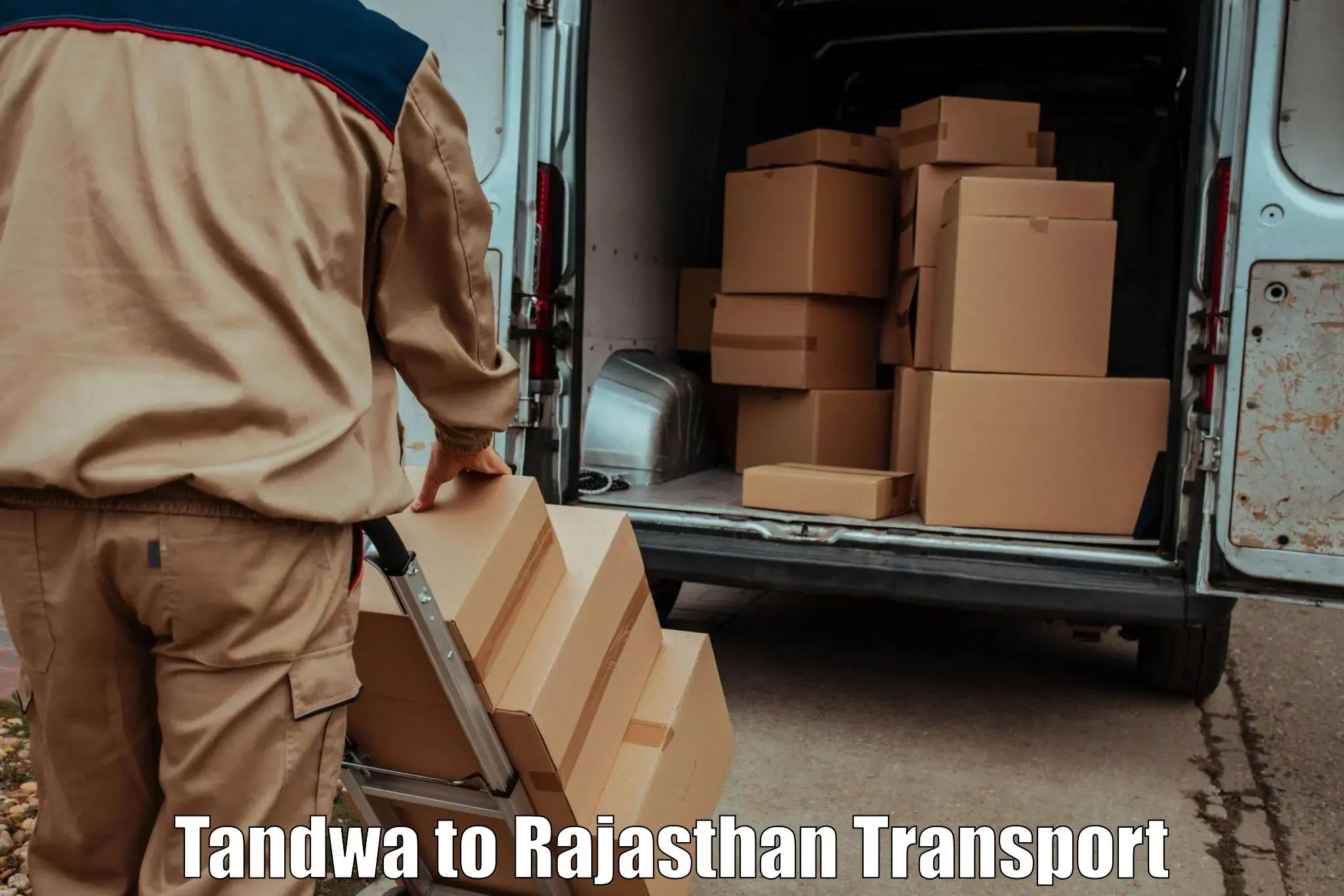 Container transport service Tandwa to Sri Ganganagar