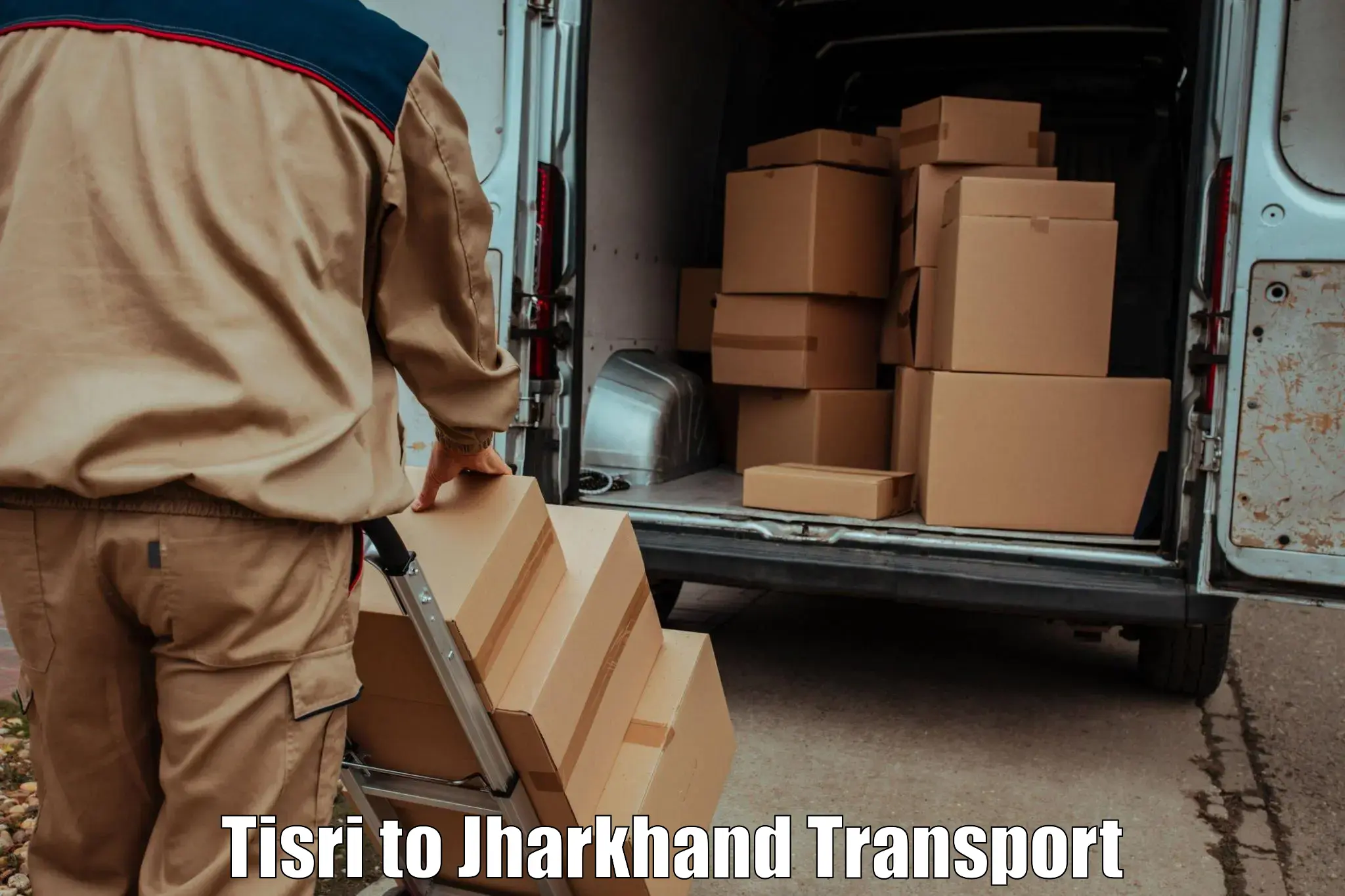 International cargo transportation services Tisri to Japla